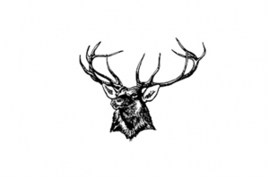 District Logo